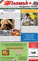 Issue 29
