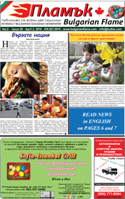 Issue 29 - VIEW PDF NOW