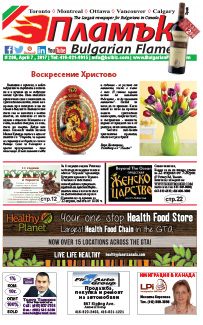 Issue 206 - VIEW PDF NOW