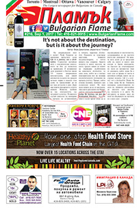 Issue 216 - VIEW PDF NOW