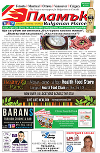 Issue 231 - VIEW PDF NOW