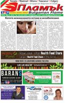 Issue 232