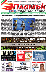 Issue 241 - VIEW PDF NOW