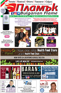 Issue 246 - VIEW PDF NOW