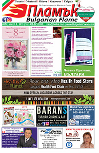 Issue 252 - VIEW PDF NOW