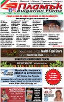 Issue 291
