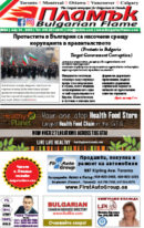 Issue 294