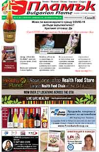 Issue 317 - VIEW PDF NOW