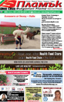 Issue 353