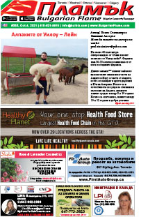Issue 353 - VIEW PDF NOW
