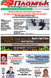 Issue 382 - VIEW PDF NOW
