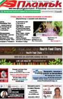 Issue 383