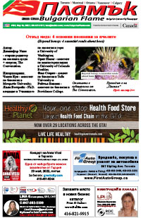 Issue 383 - VIEW PDF NOW