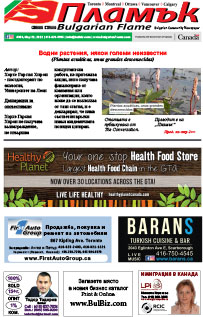 Issue 384 - VIEW PDF NOW