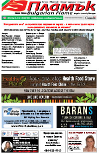 Issue 385 - VIEW PDF NOW