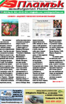 Issue 527
