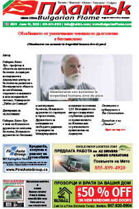 Issue 531 - VIEW PDF NOW