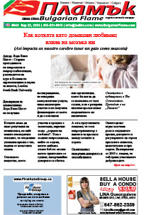 Issue 543 - VIEW PDF NOW