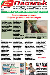 Issue 588